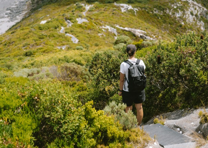 1761056879-pexels-line-knipst-574109081-20787274 (1).jpg